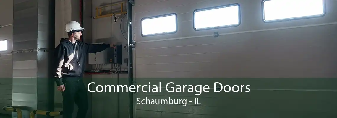 Commercial Garage Doors Schaumburg - IL