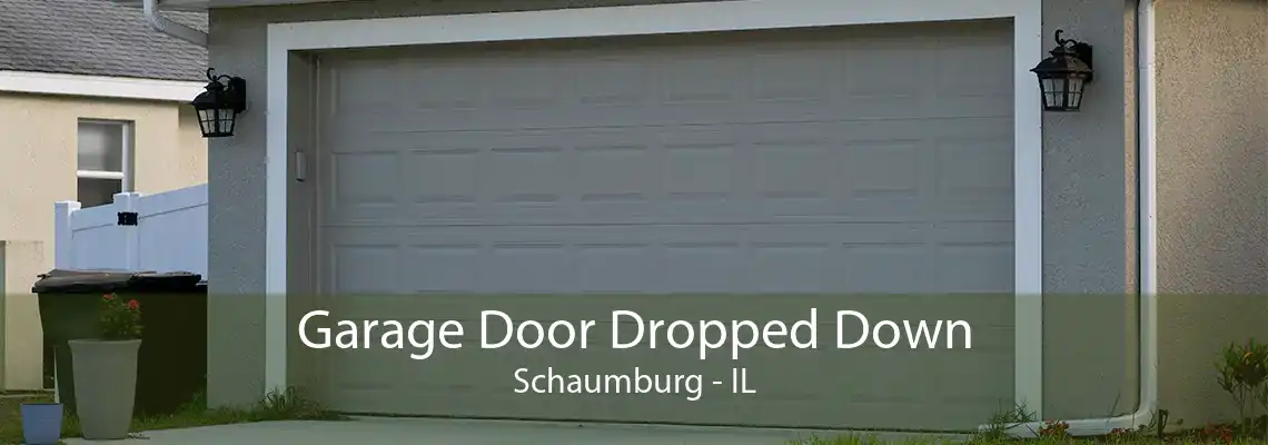 Garage Door Dropped Down Schaumburg - IL