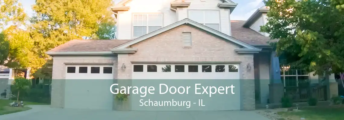 Garage Door Expert Schaumburg - IL