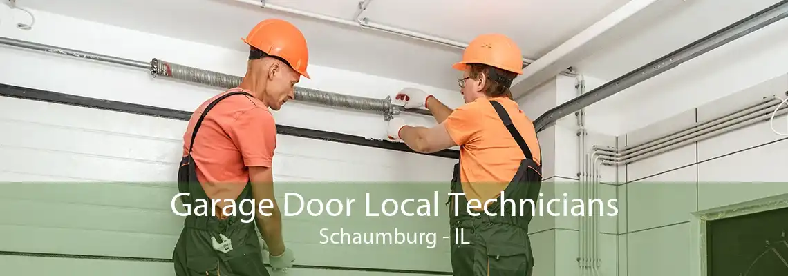 Garage Door Local Technicians Schaumburg - IL