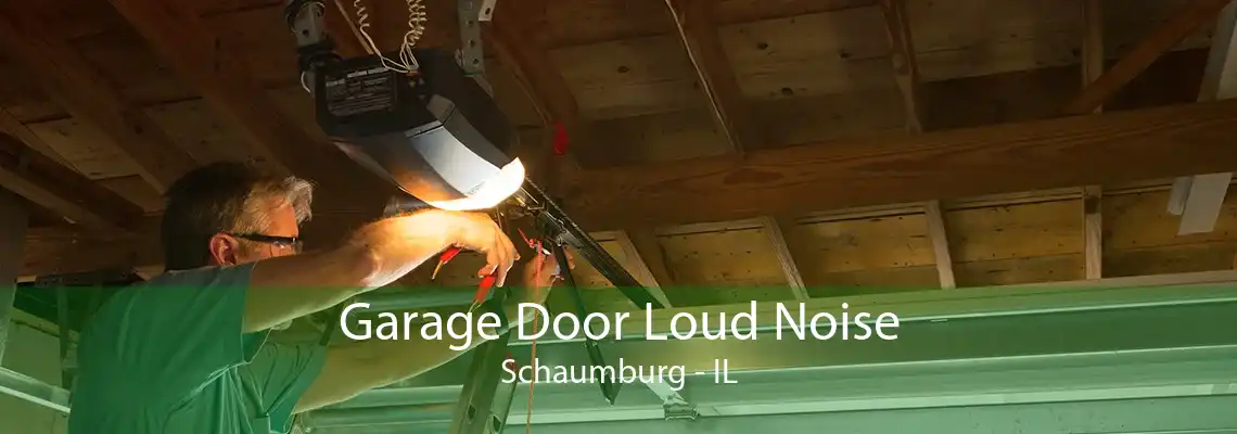 Garage Door Loud Noise Schaumburg - IL