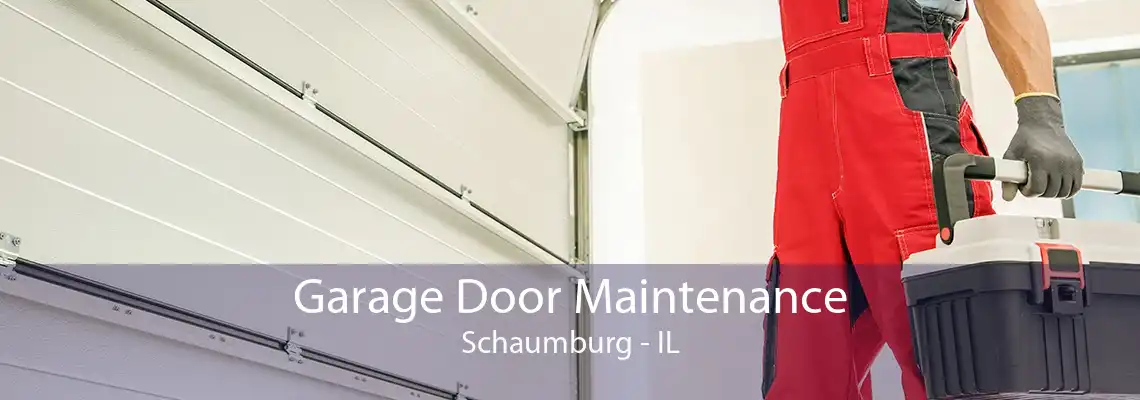 Garage Door Maintenance Schaumburg - IL