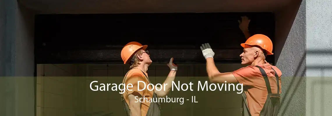 Garage Door Not Moving Schaumburg - IL