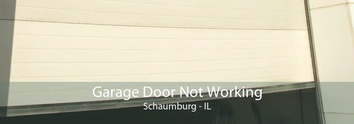 Garage Door Not Working Schaumburg - IL