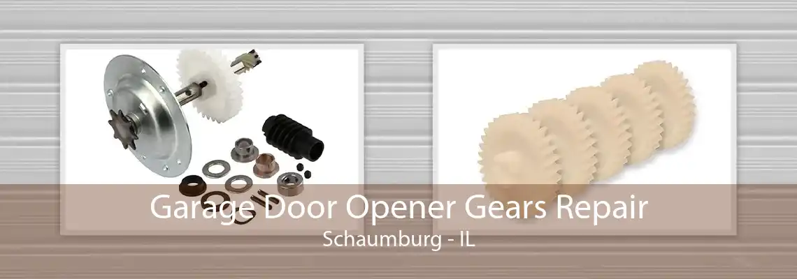 Garage Door Opener Gears Repair Schaumburg - IL