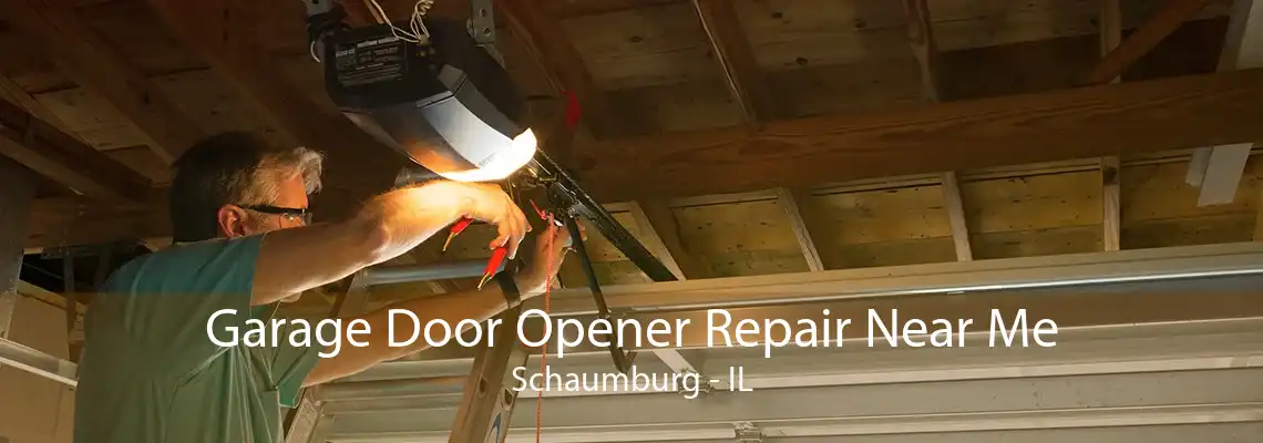 Garage Door Opener Repair Near Me Schaumburg - IL