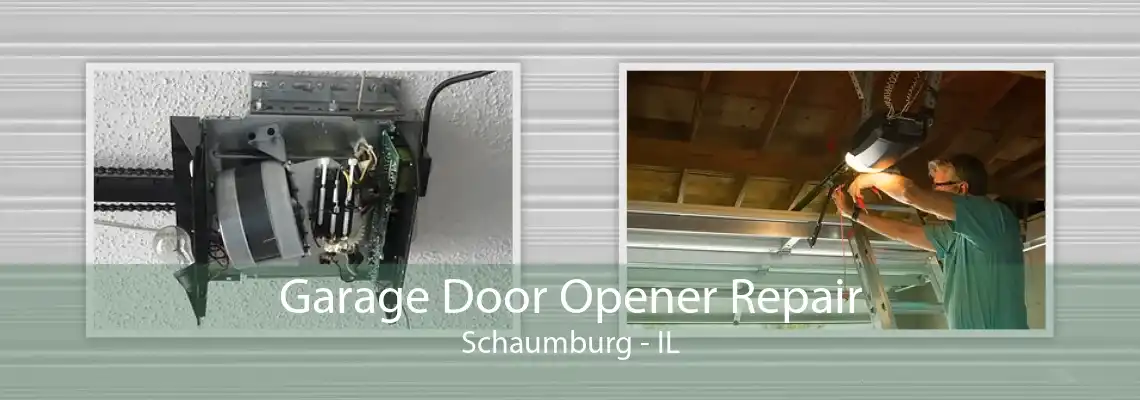 Garage Door Opener Repair Schaumburg - IL