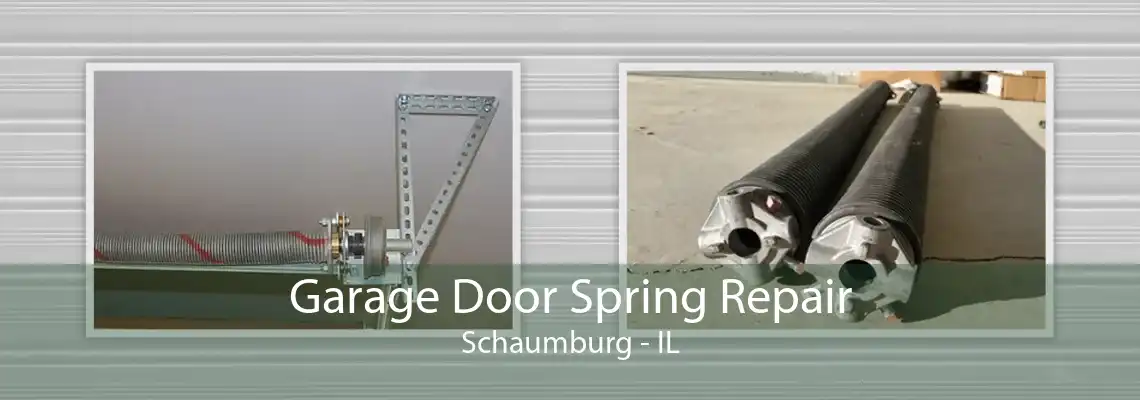 Garage Door Spring Repair Schaumburg - IL