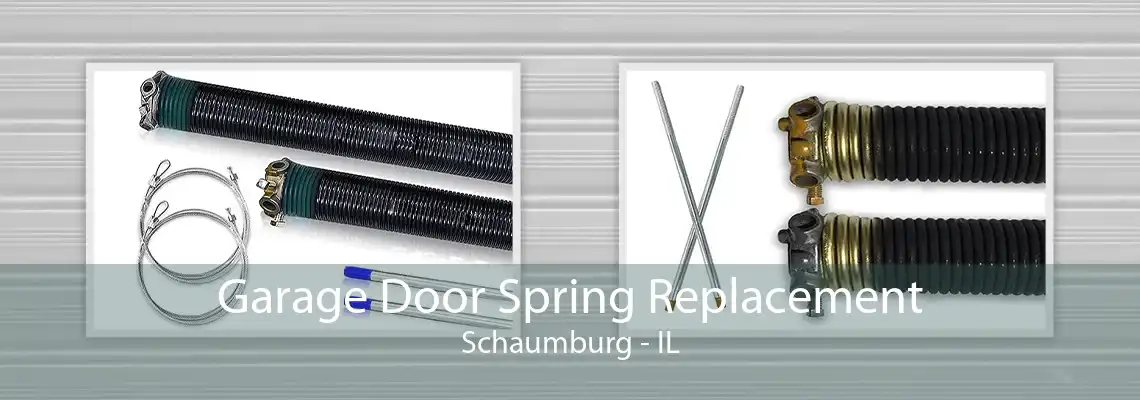 Garage Door Spring Replacement Schaumburg - IL