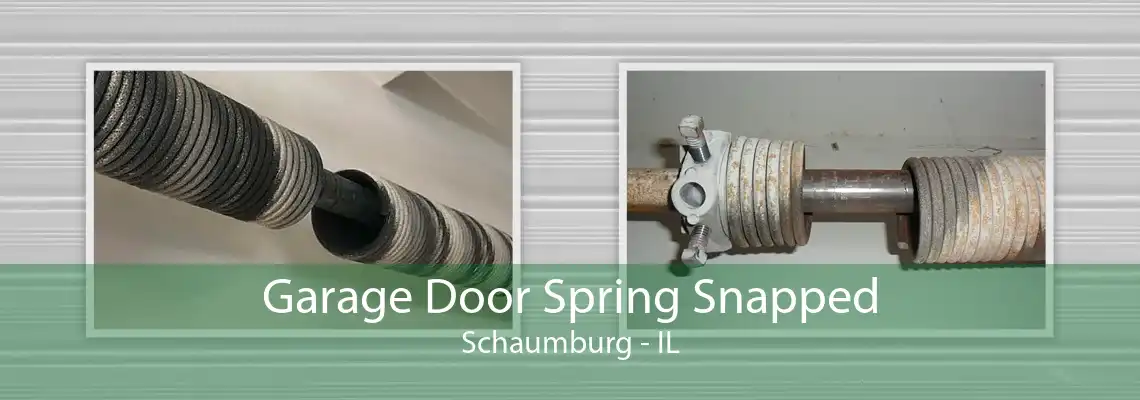 Garage Door Spring Snapped Schaumburg - IL