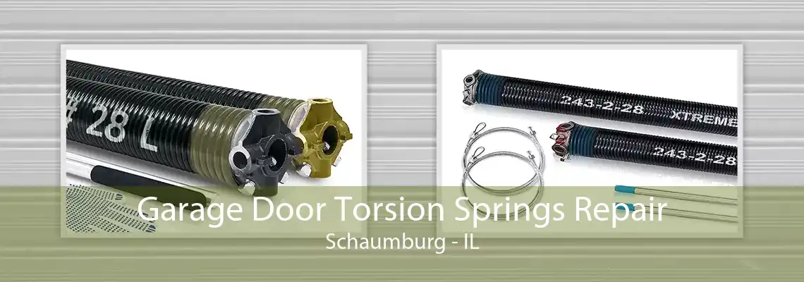 Garage Door Torsion Springs Repair Schaumburg - IL