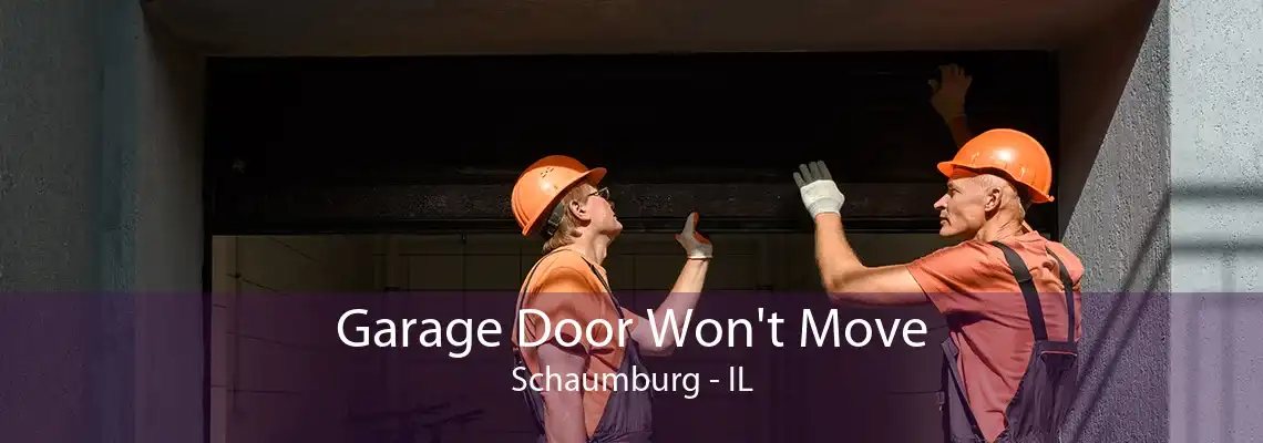 Garage Door Won't Move Schaumburg - IL