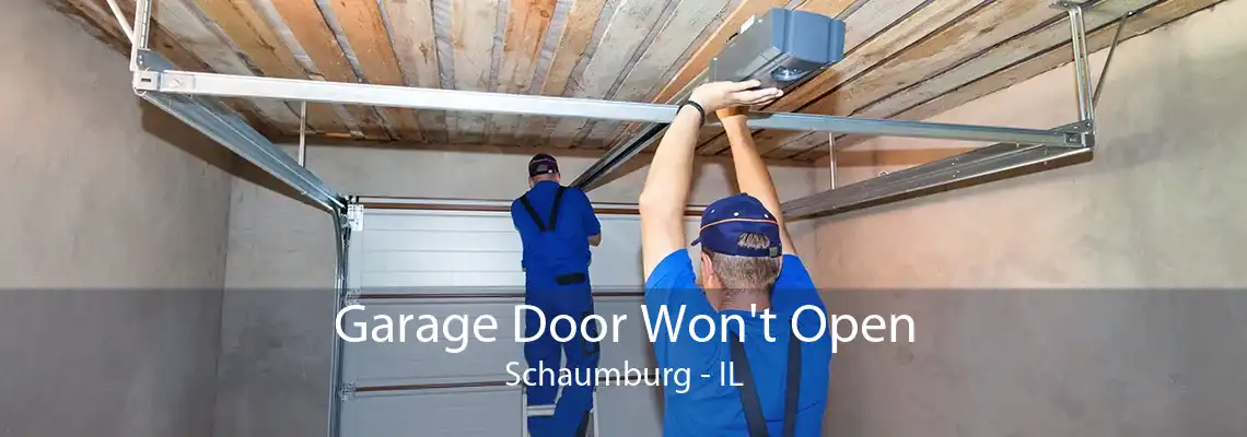 Garage Door Won't Open Schaumburg - IL