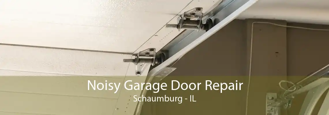 Noisy Garage Door Repair Schaumburg - IL