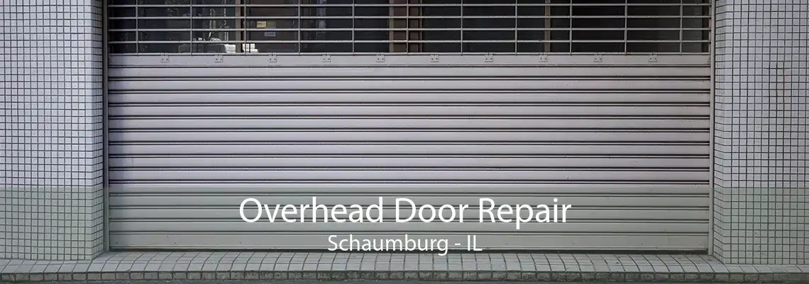 Overhead Door Repair Schaumburg - IL