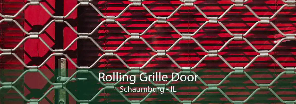 Rolling Grille Door Schaumburg - IL